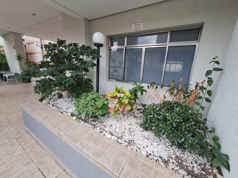 Jardim com plantas e pedras brancas